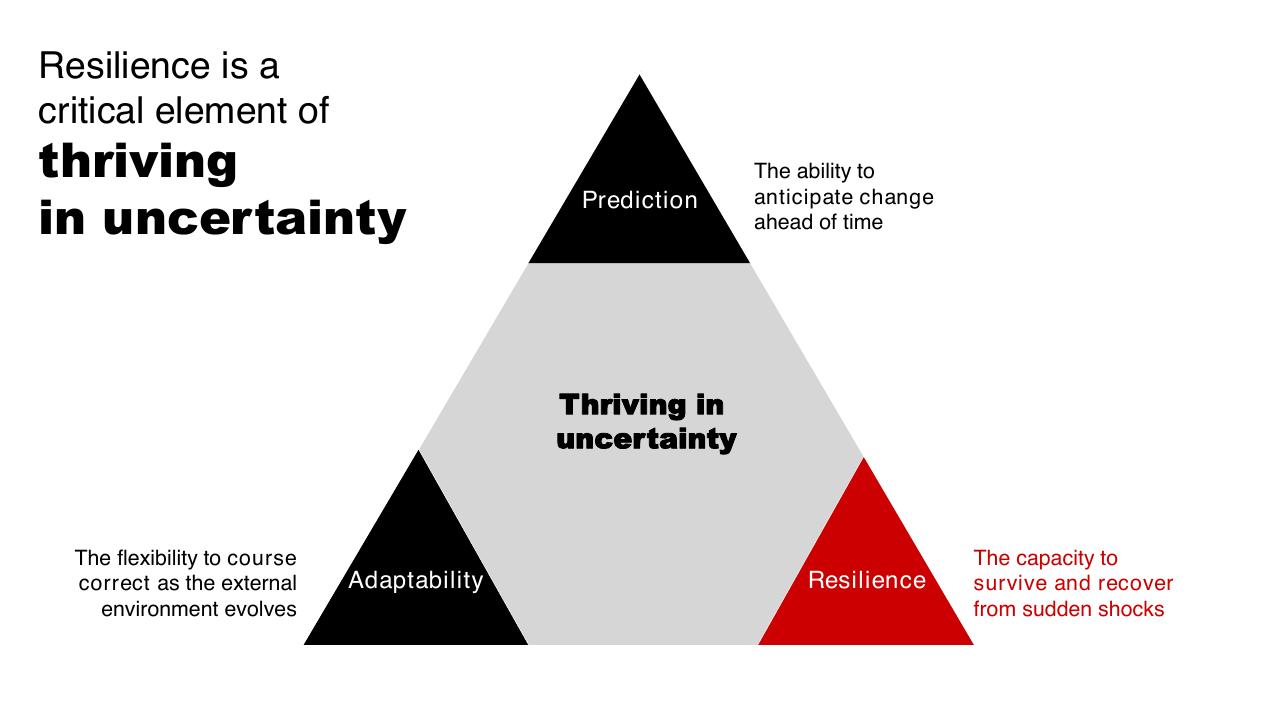 Framework slide 9 from Introduction To Bain Company Bain