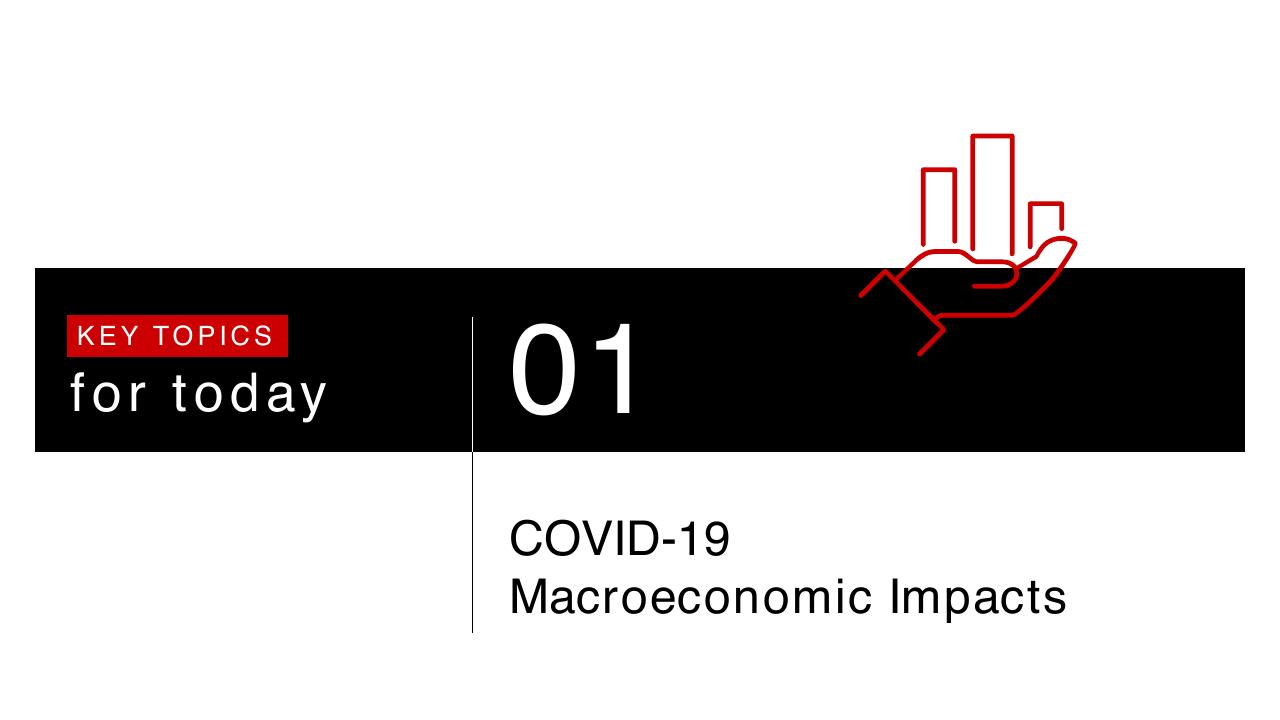 Section Divider slide 4 from Procurement Through COVID 19