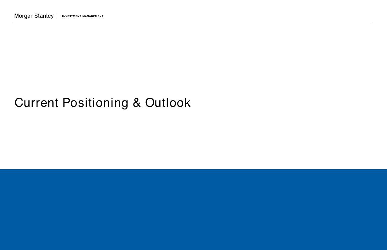 Section Divider slide 5 from Credit Market Monitor Morgan Stanley