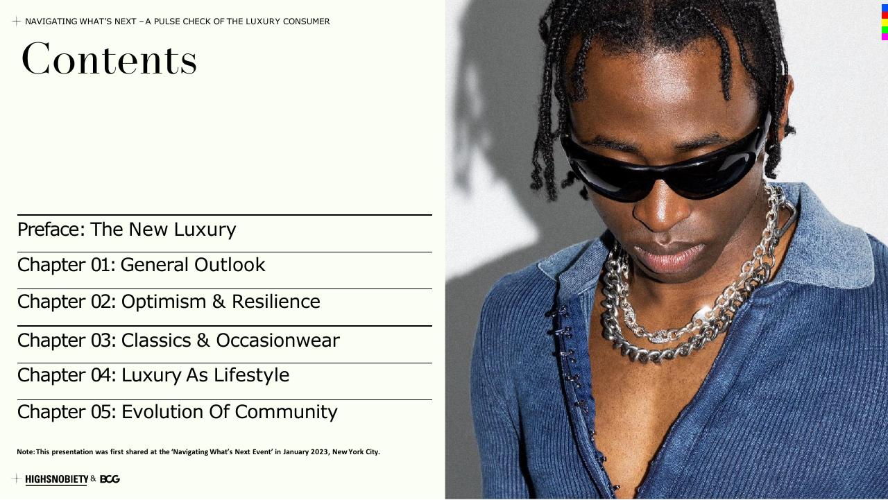 Agenda slide 2 from A Pulse Check Of The Luxury Consumer BCG