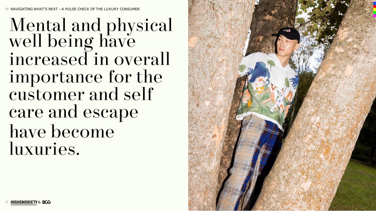 Text slide 29 from A Pulse Check Of The Luxury Consumer BCG