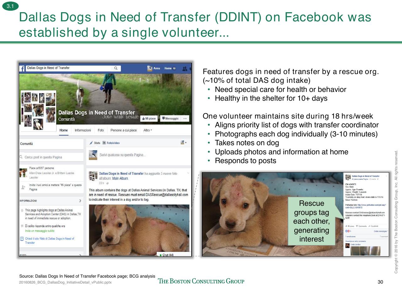 Case Study slide 183 from Loose Dogs In Dallas