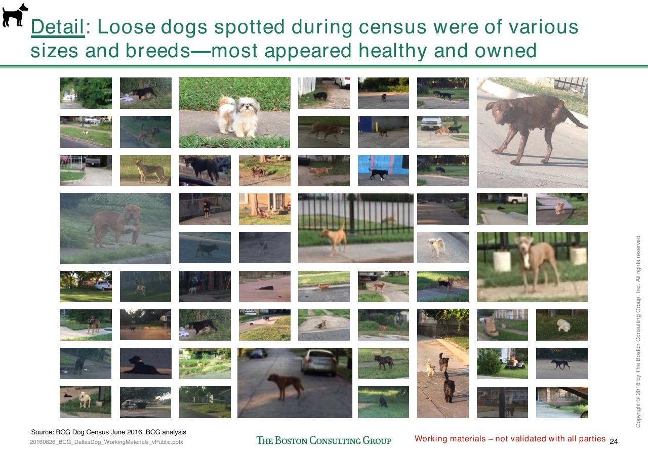 Dashboard slide 293 from Loose Dogs In Dallas