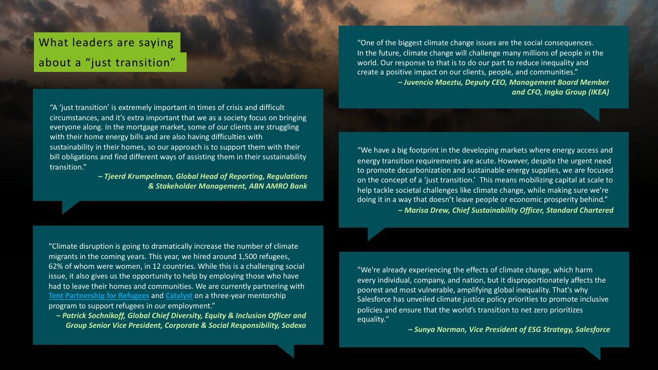 Quote slide 13 from Deloitte 2023 Cxo Sustainability Report Deloitte