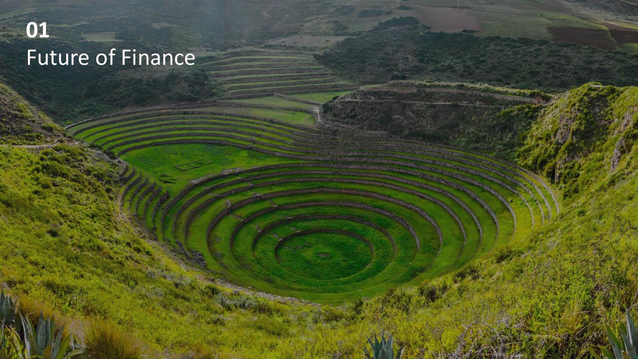 Section Divider slide 7 from Digital Finance Seeing Is Believing Deloitte