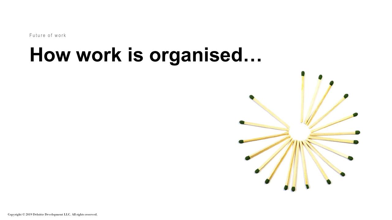 Section Divider slide 14 from Future Of Work How Work Is Enabled_ Deloitte