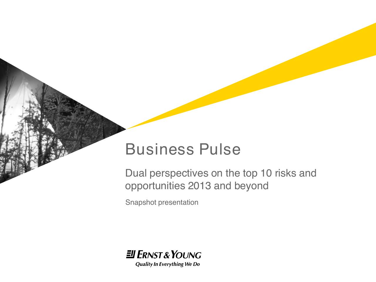 Dual Perspectives On The Top 10 Risks And Opportunities 2013 And Beyond consulting deck cover