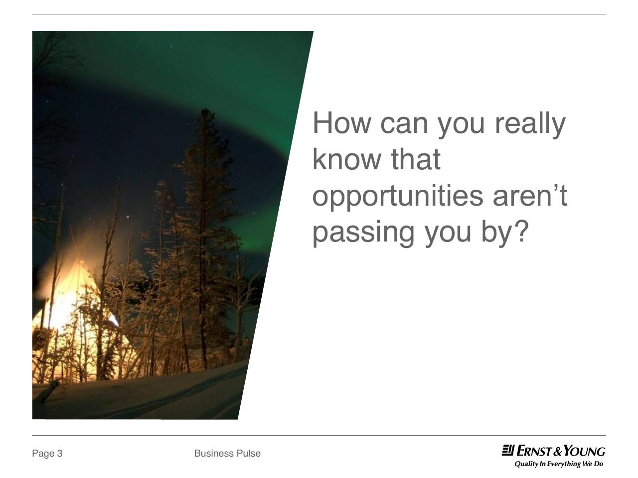 Section Divider slide 3 from Dual Perspectives On The Top 10 Risks And Opportunities 2013 And Beyond