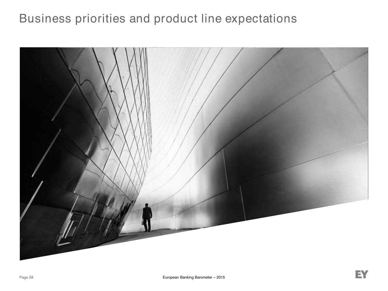 Section Divider slide 28 from European Banking Barometer 2015 Reflecting A Challenged Industry