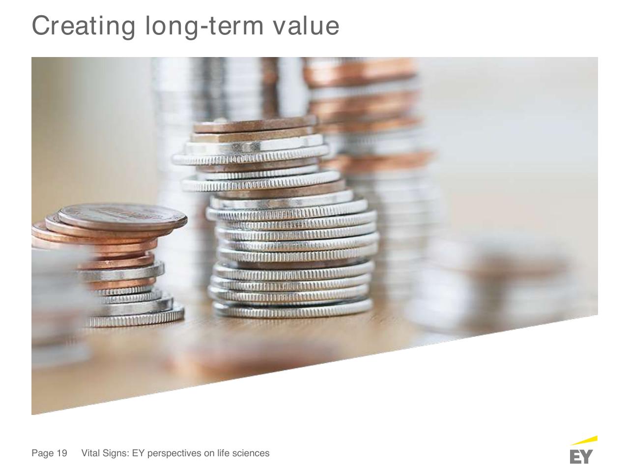 Section Divider slide 19 from How Fit Is Your Capital Allocation Strategy_