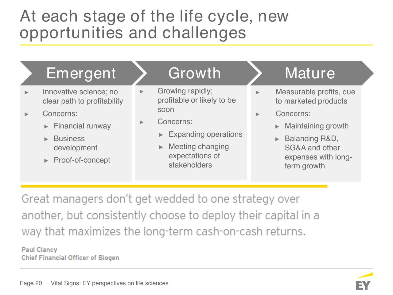 Process slide 20 from How Fit Is Your Capital Allocation Strategy_