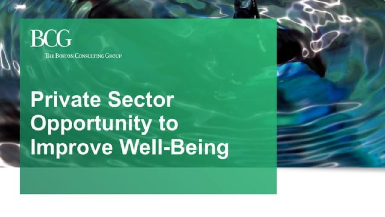 Private Sector Opportunity To Improve Well-Being consulting deck cover