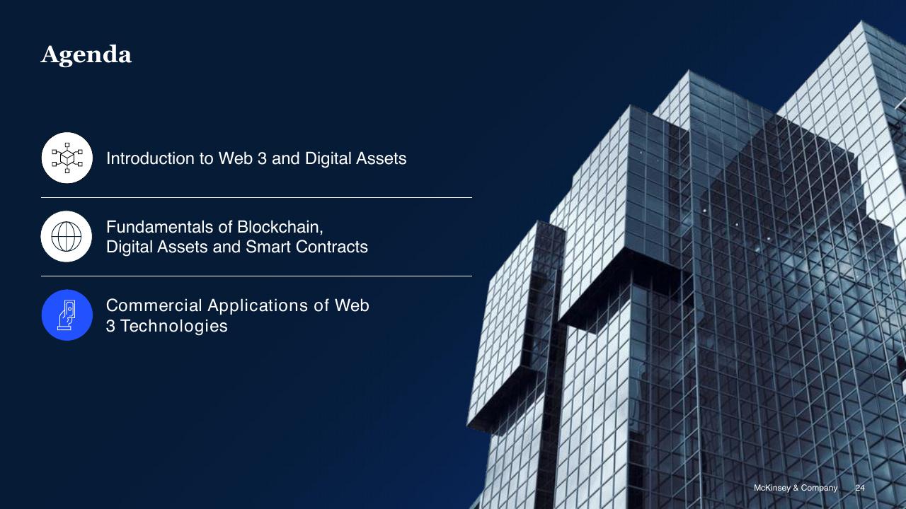 Agenda slide 24 from Blockchain And Digital Assets McKinsey