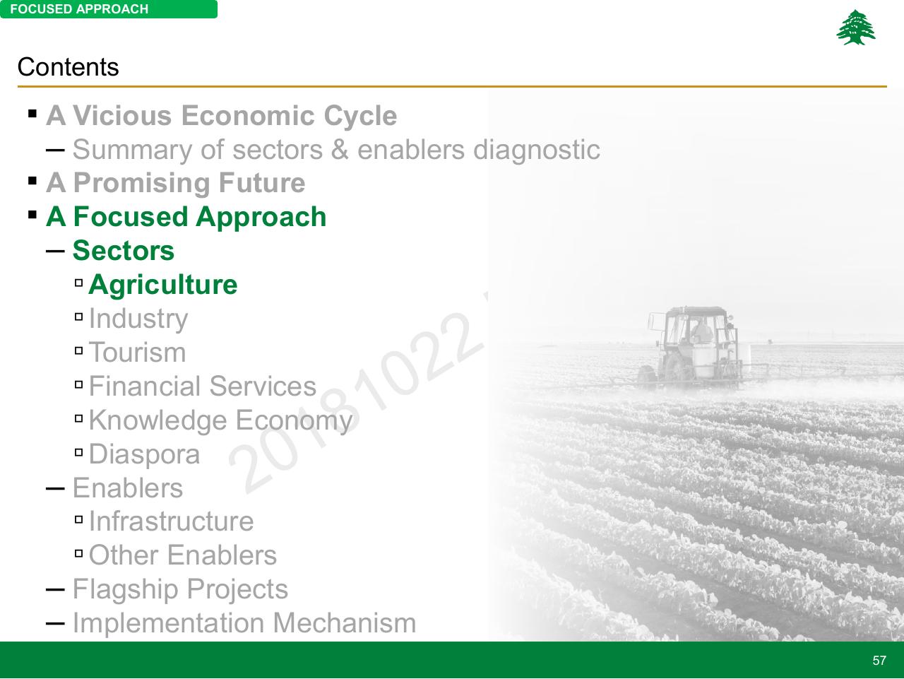 Text slide 57 from Lebanon Economic Vision