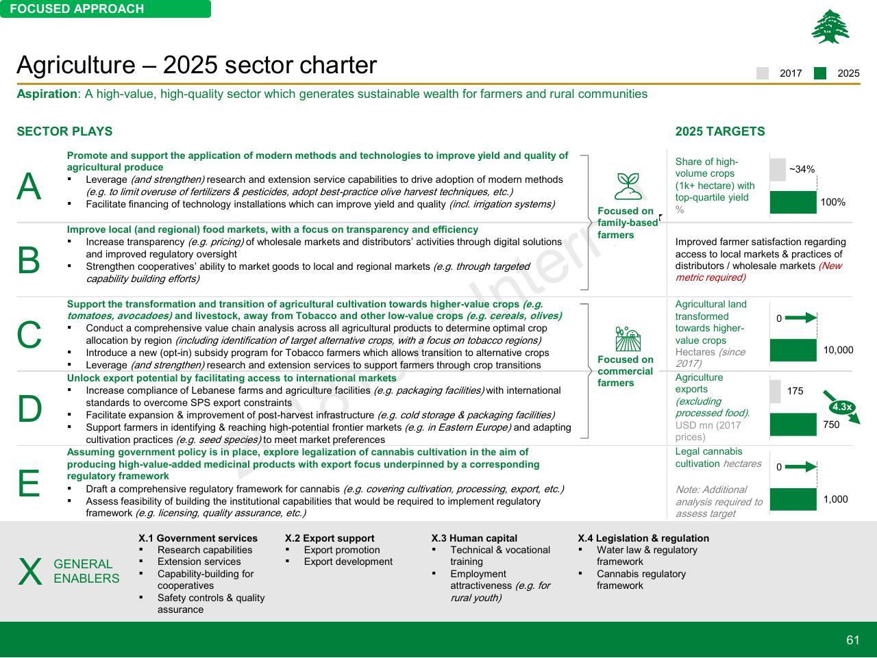 Framework slide 61 from Lebanon Economic Vision