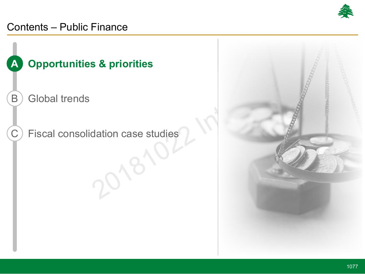 Section Divider slide 1077 from Lebanon Economic Vision
