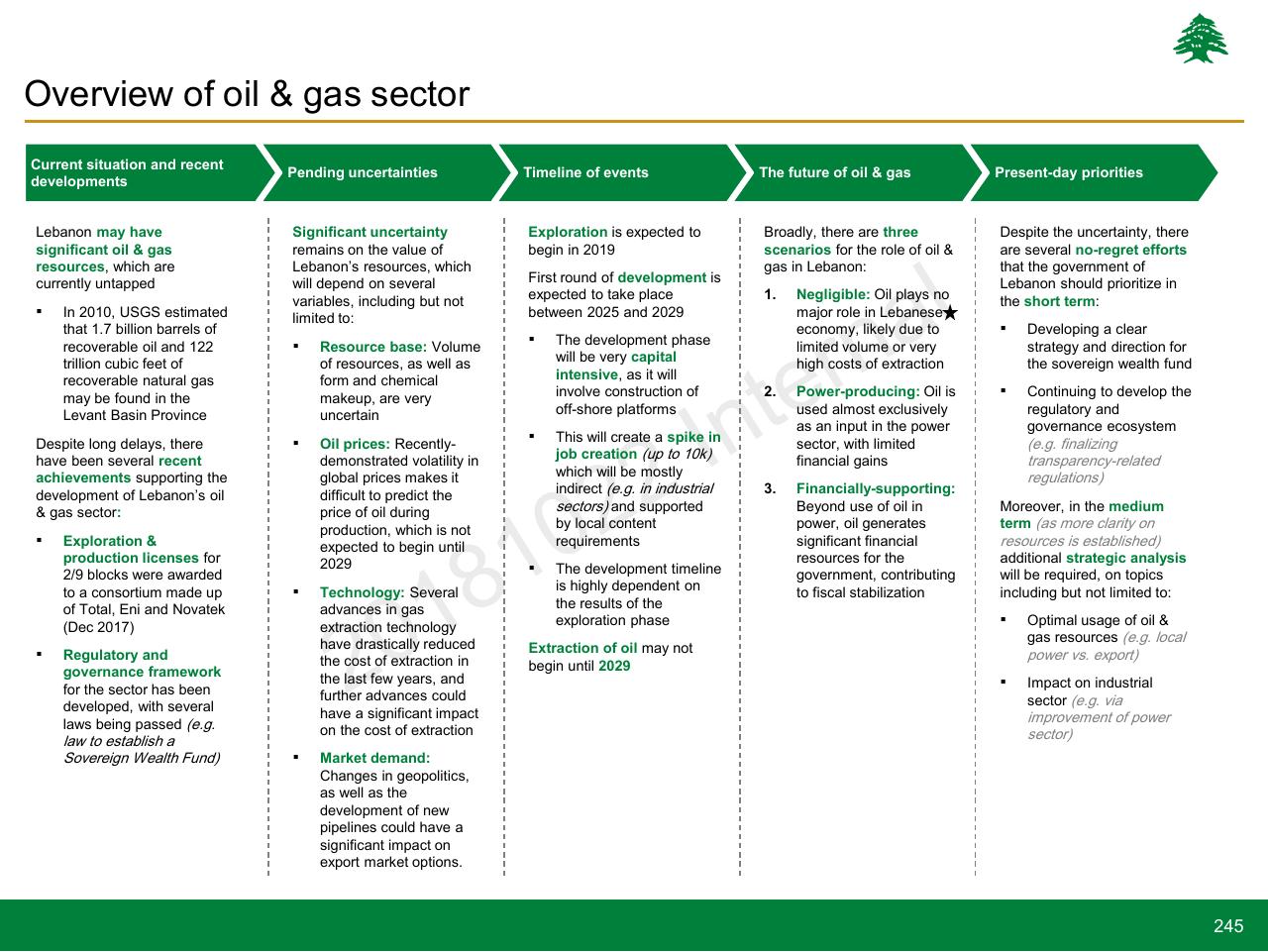 Process slide 245 from Lebanon Economic Vision