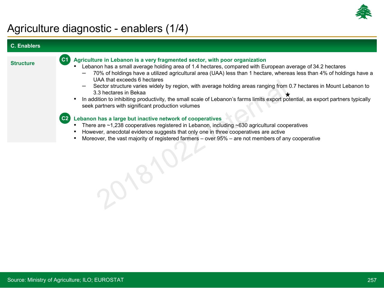 Text slide 257 from Lebanon Economic Vision
