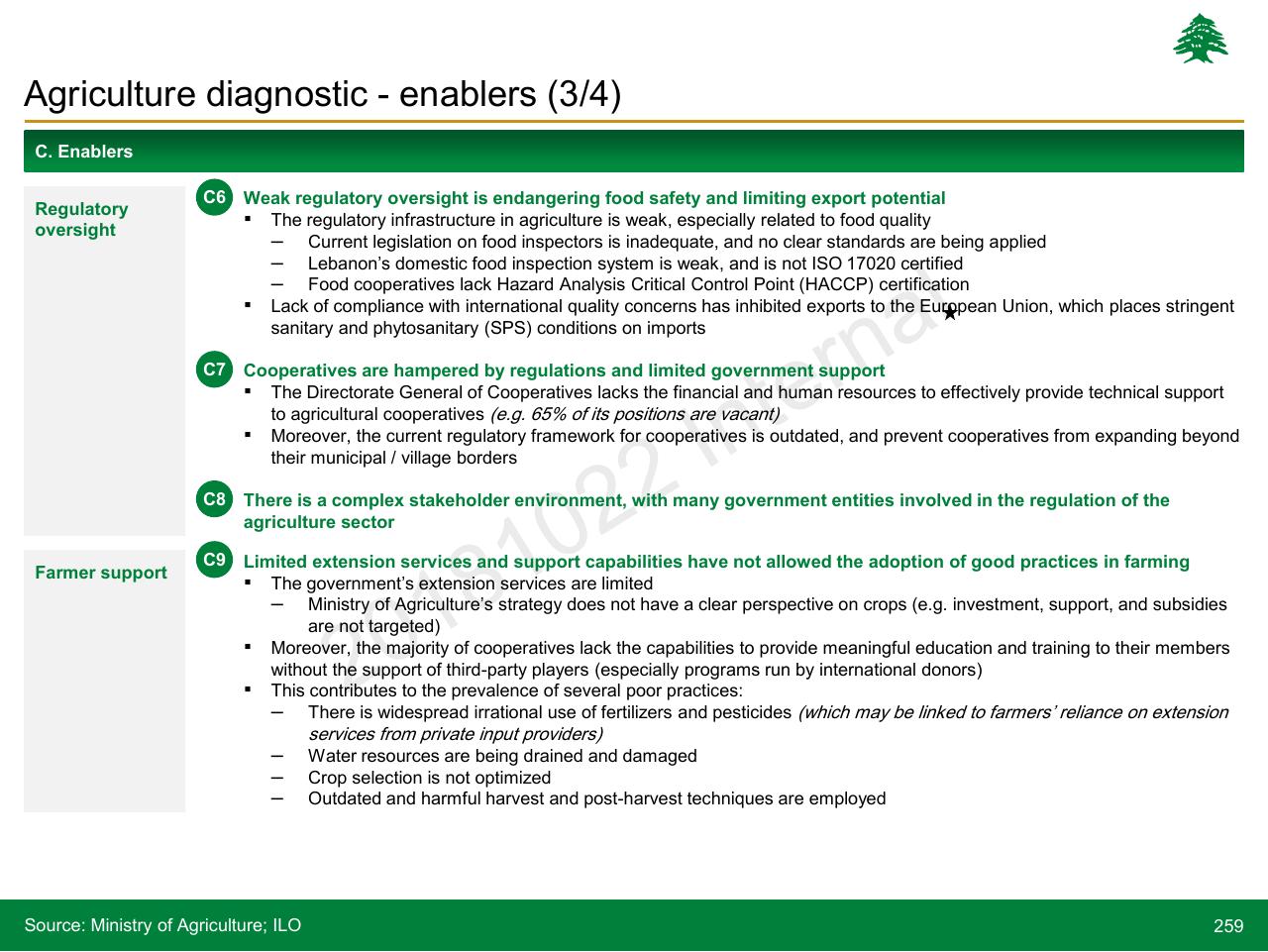 Text slide 259 from Lebanon Economic Vision