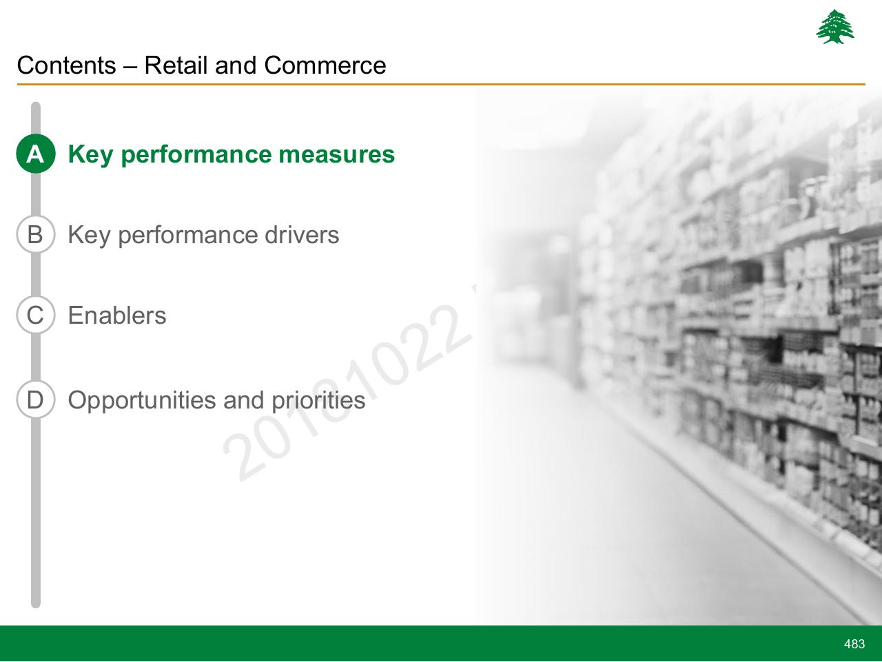 Section Divider slide 483 from Lebanon Economic Vision
