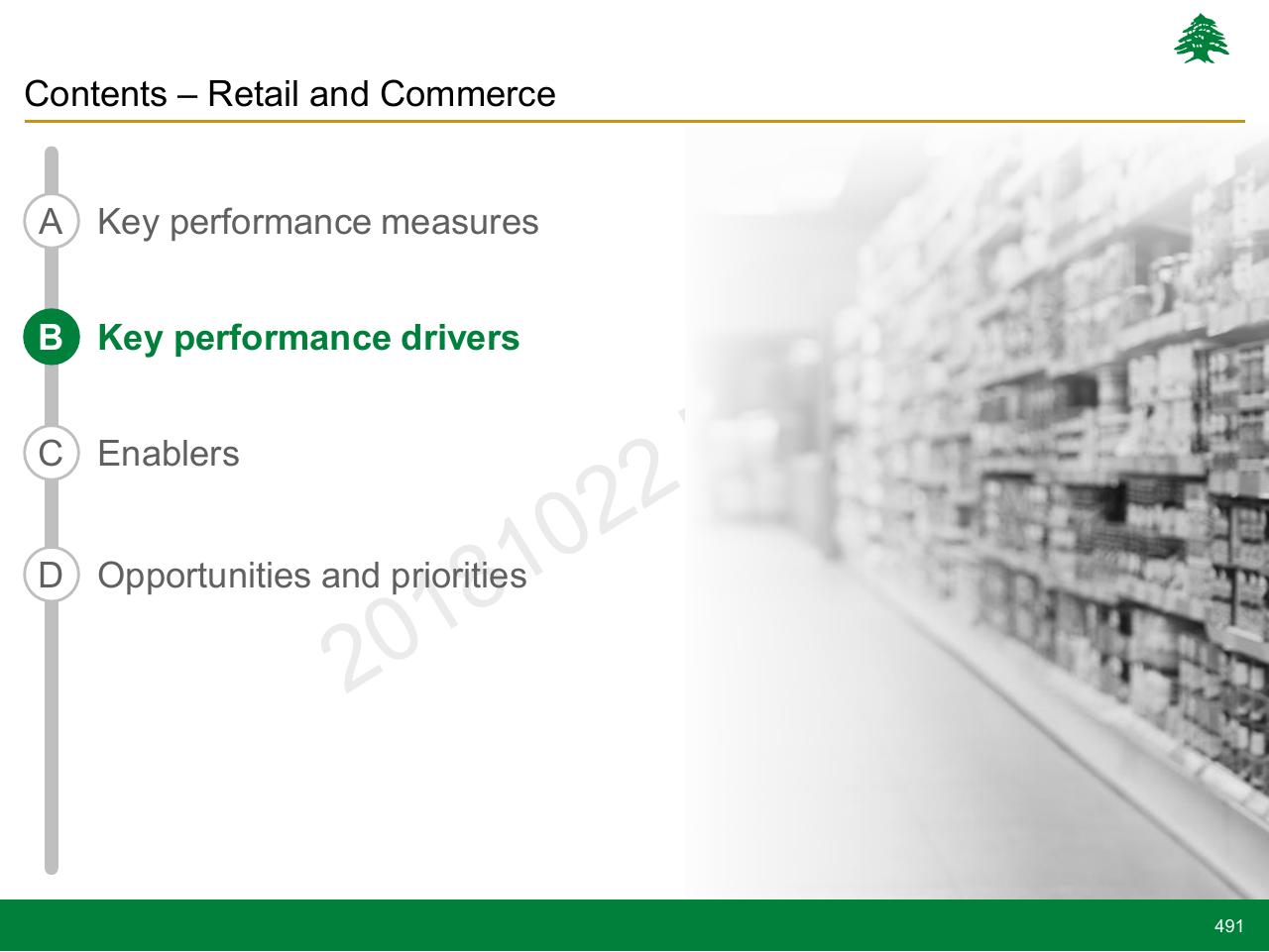 Section Divider slide 491 from Lebanon Economic Vision