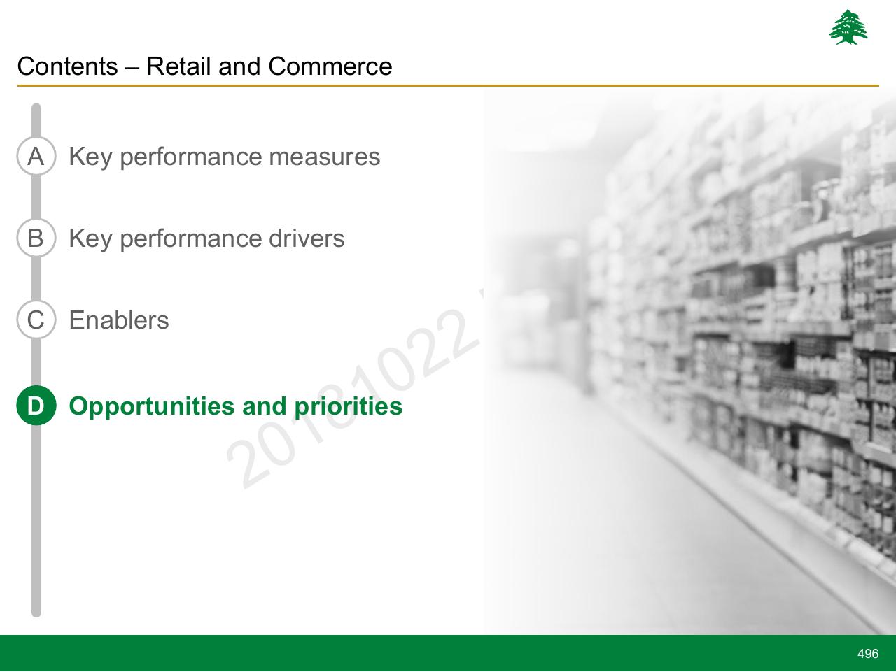 Section Divider slide 496 from Lebanon Economic Vision