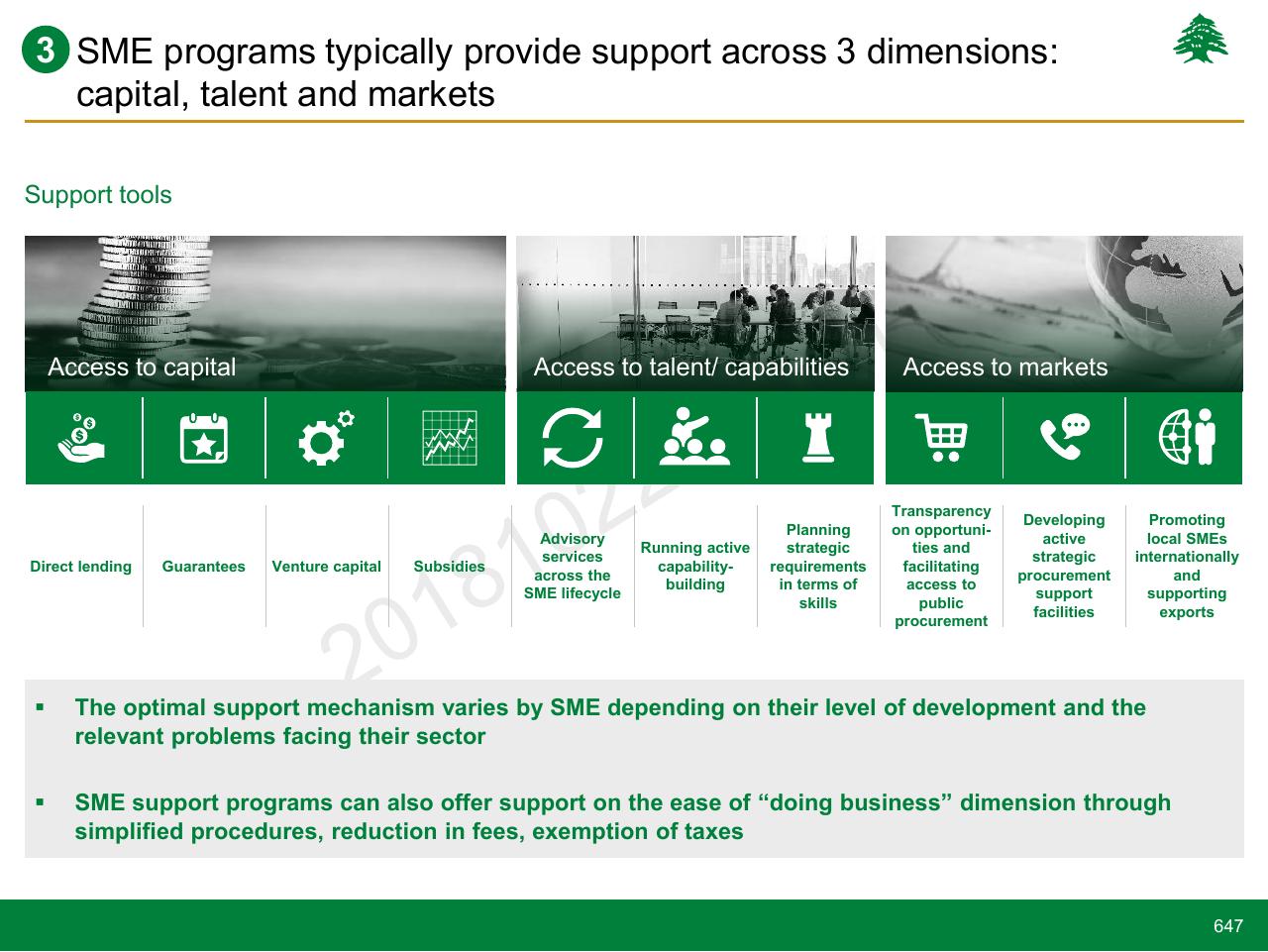 Framework slide 647 from Lebanon Economic Vision