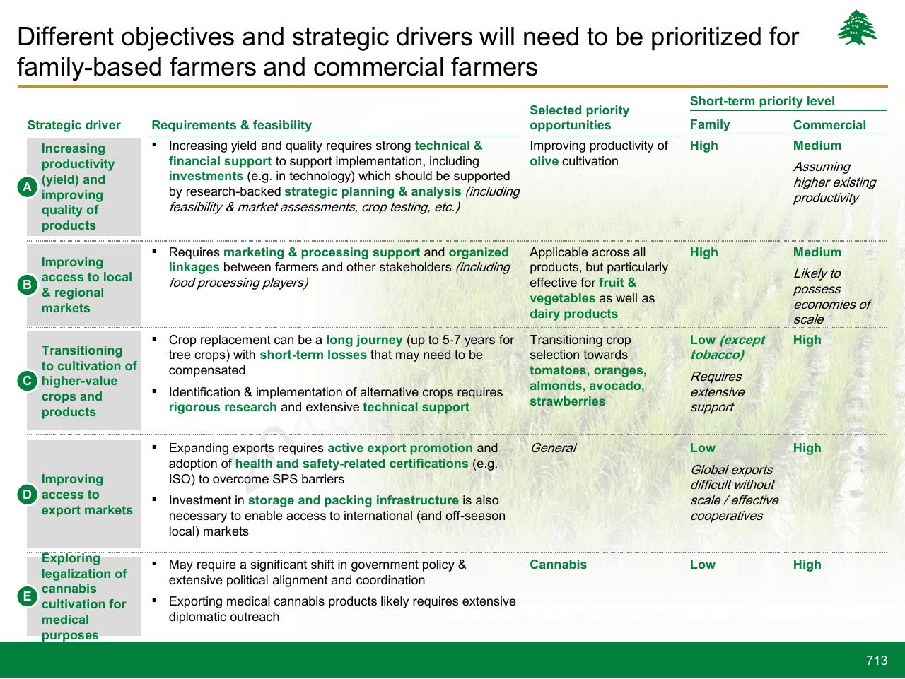 Table slide 713 from Lebanon Economic Vision