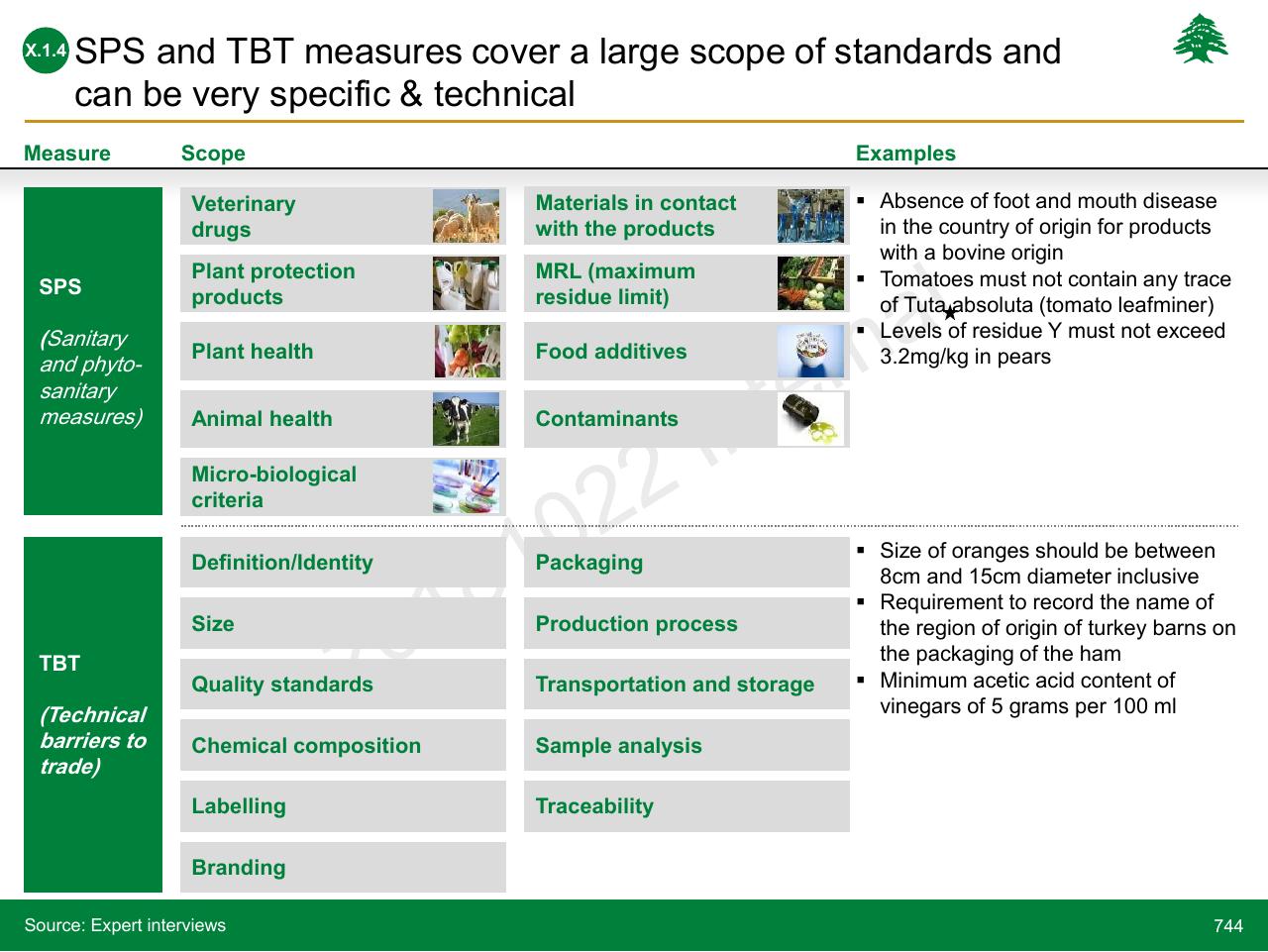 Table slide 744 from Lebanon Economic Vision