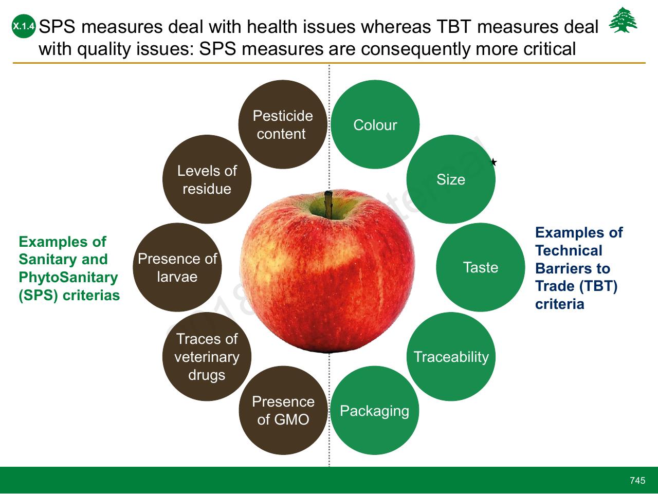 Comparison slide 745 from Lebanon Economic Vision