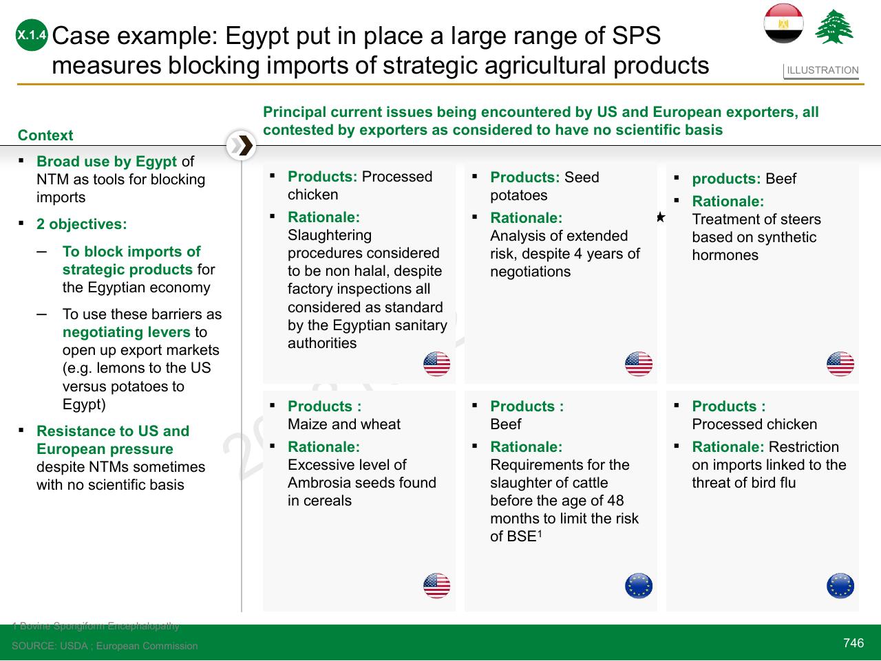 Case Study slide 746 from Lebanon Economic Vision