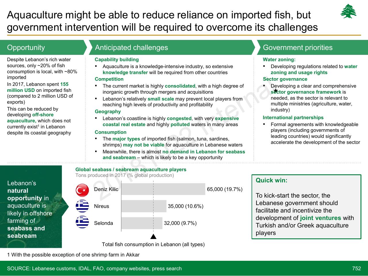 Framework slide 752 from Lebanon Economic Vision
