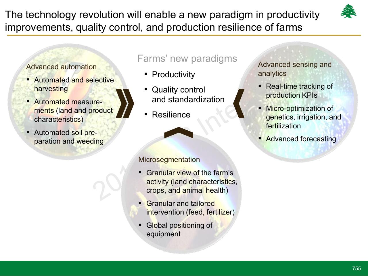 Framework slide 755 from Lebanon Economic Vision