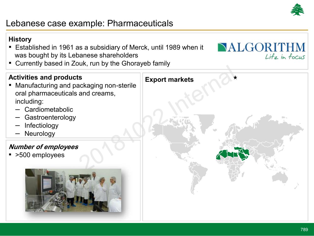 Case Study slide 789 from Lebanon Economic Vision