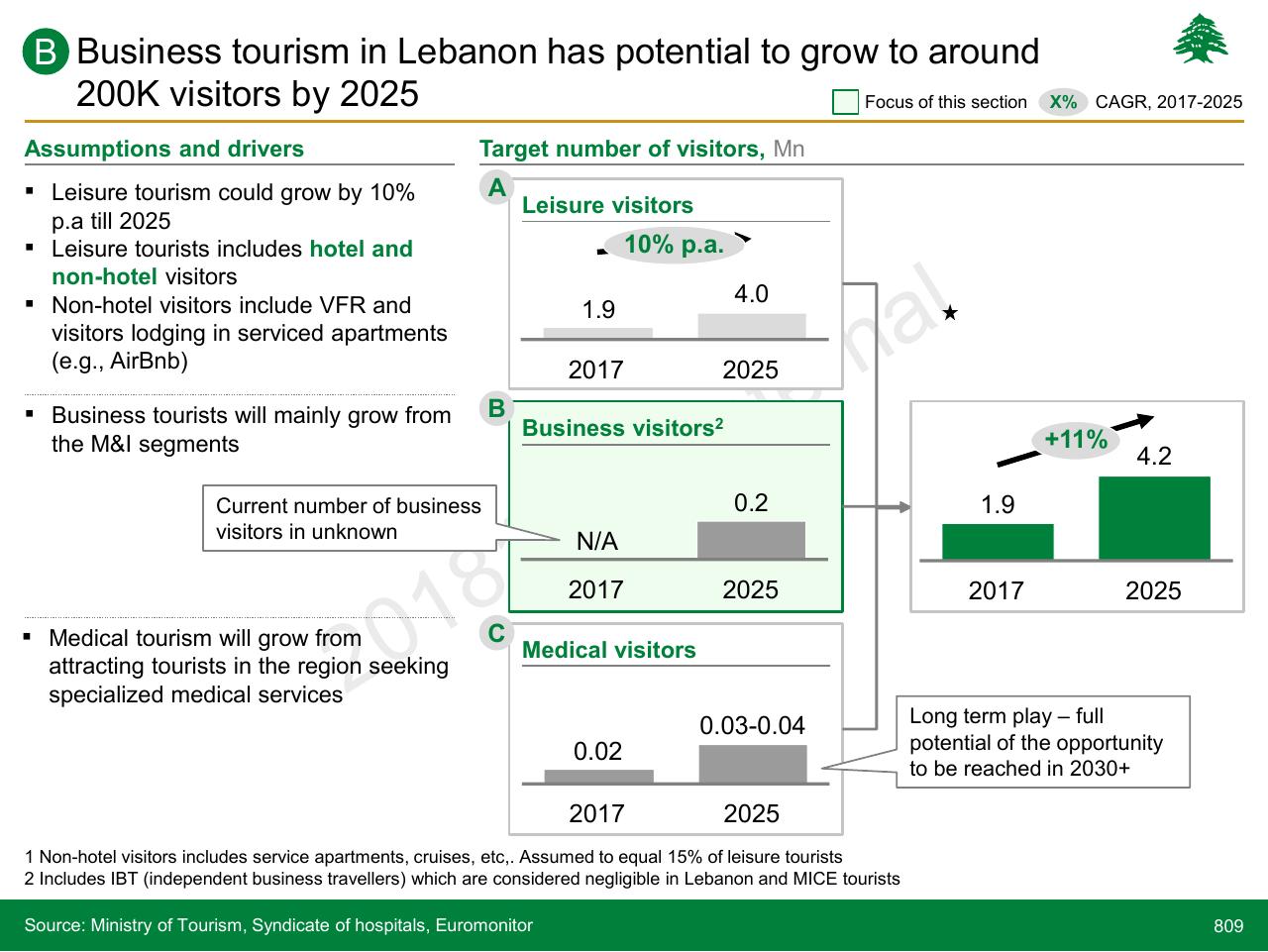 Dashboard slide 809 from Lebanon Economic Vision