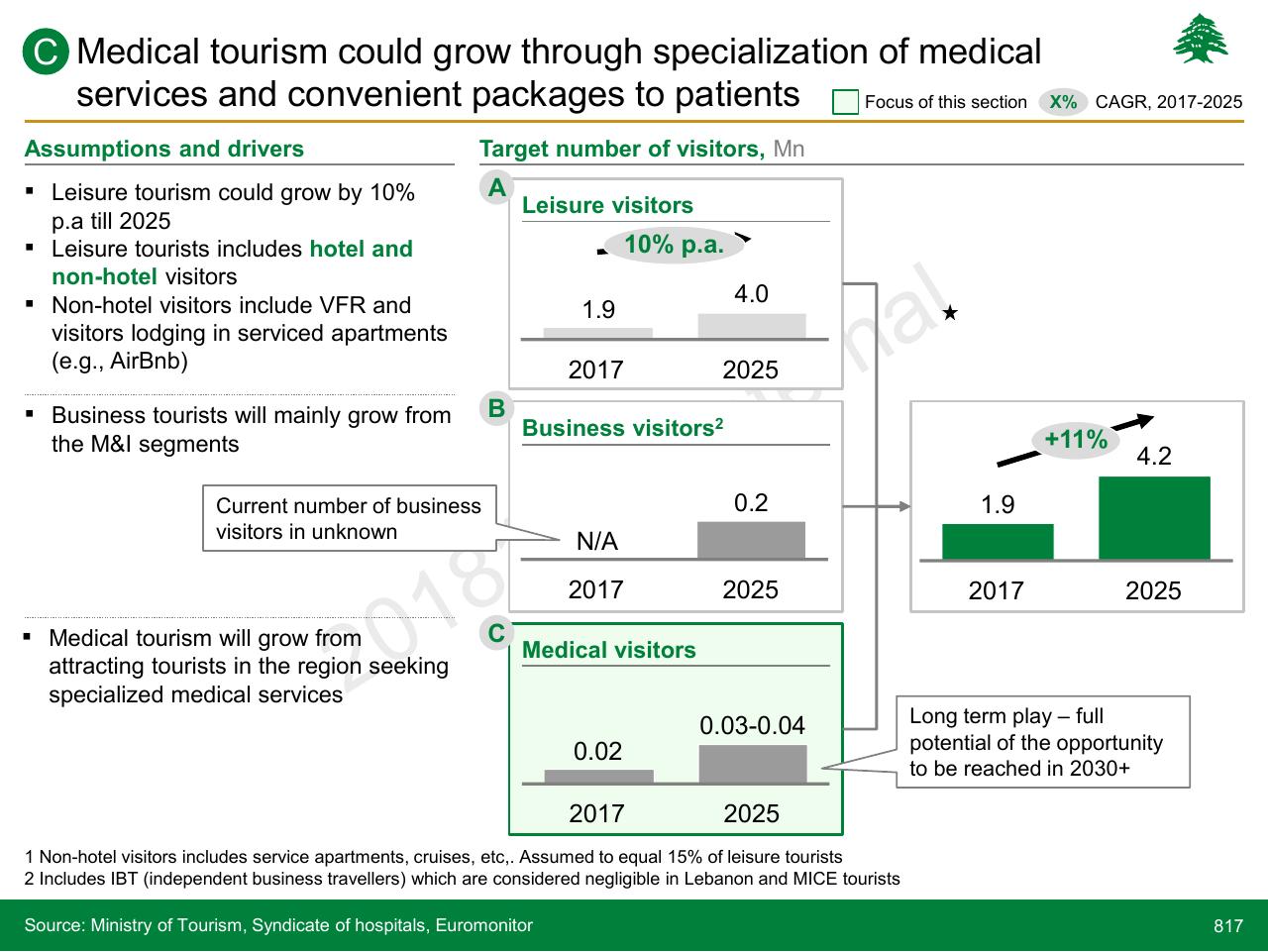 Dashboard slide 817 from Lebanon Economic Vision