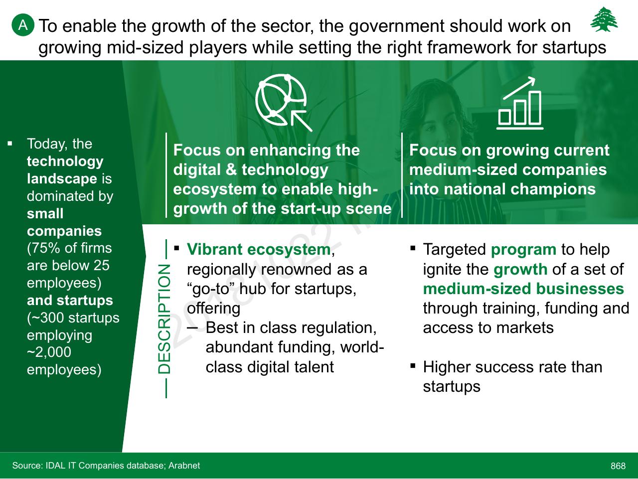 Comparison slide 868 from Lebanon Economic Vision