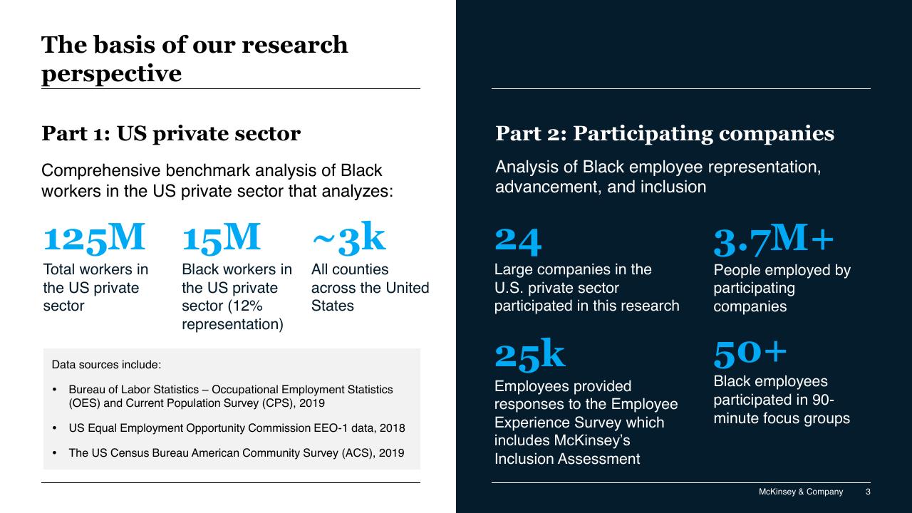 Comparison slide 3 from Race In The Workplace_ The Black Experience In The US Private Sector