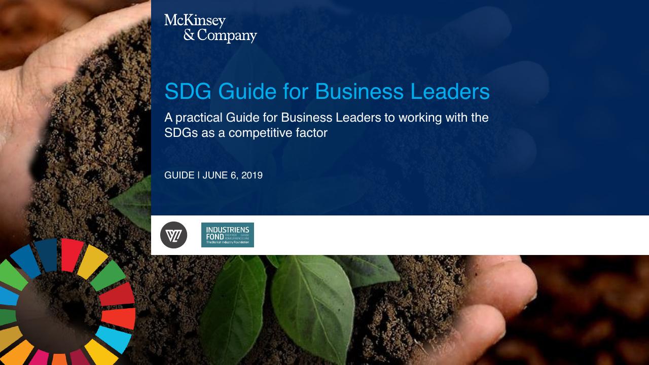 Sdg Guide For Business Leaders McKinsey consulting deck cover