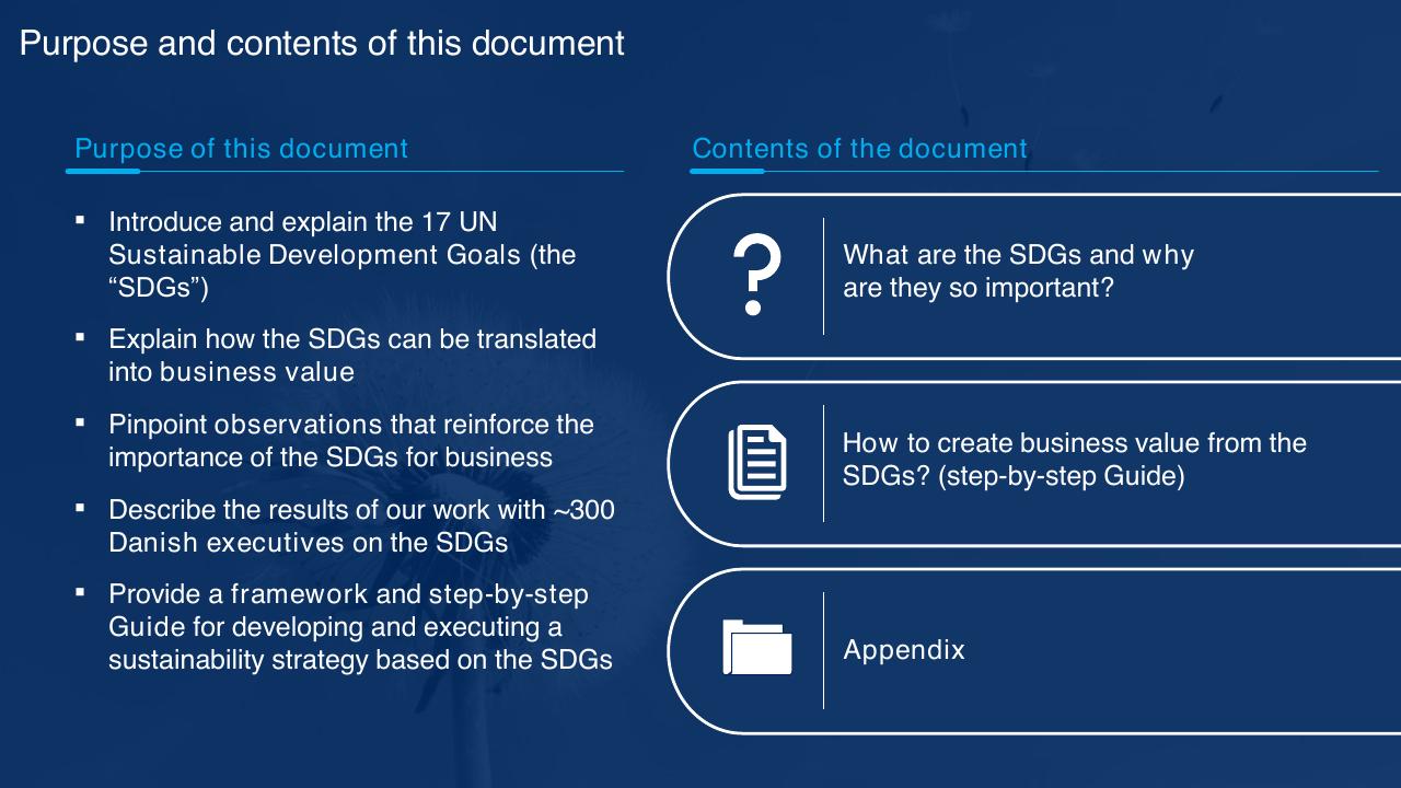 Agenda slide 2 from Sdg Guide For Business Leaders McKinsey