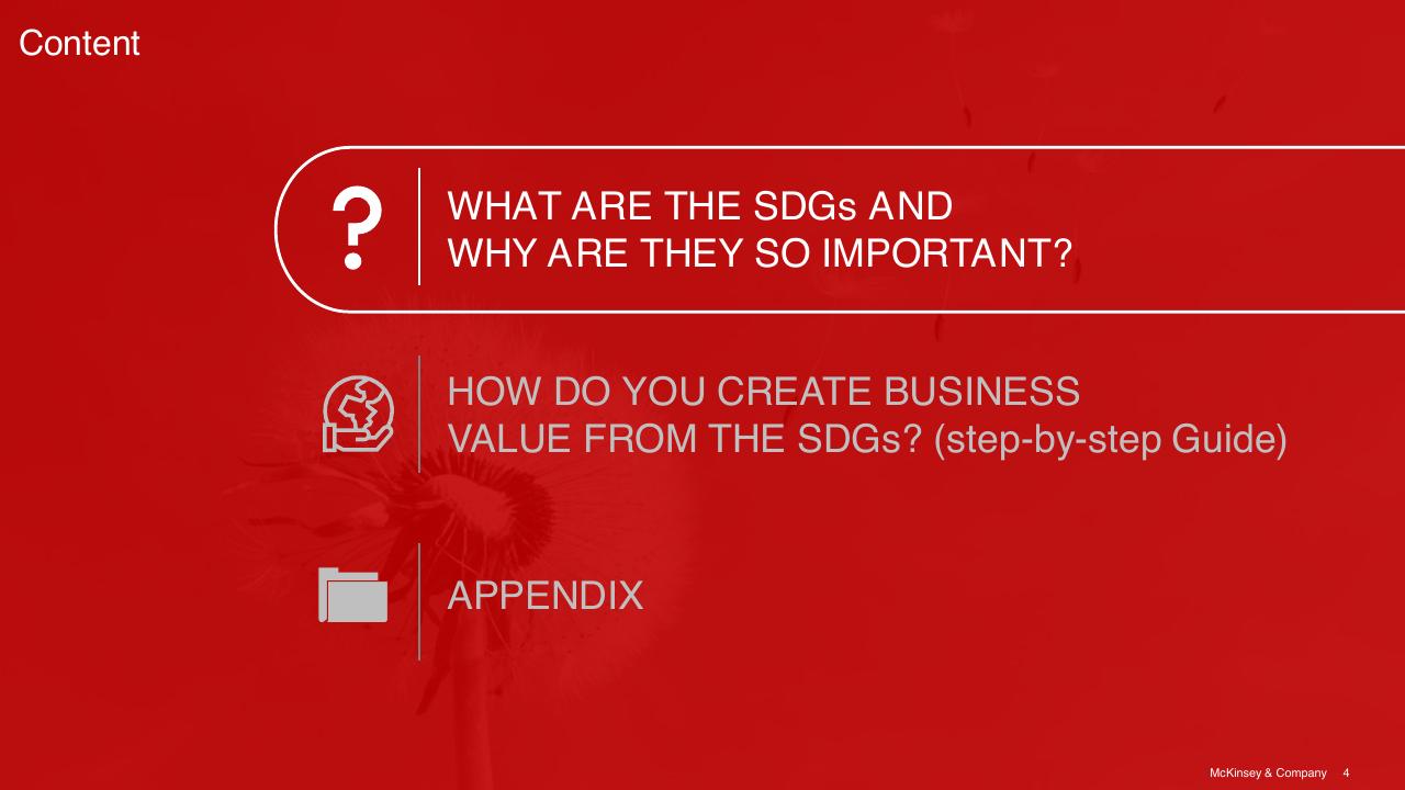 Agenda slide 4 from Sdg Guide For Business Leaders McKinsey
