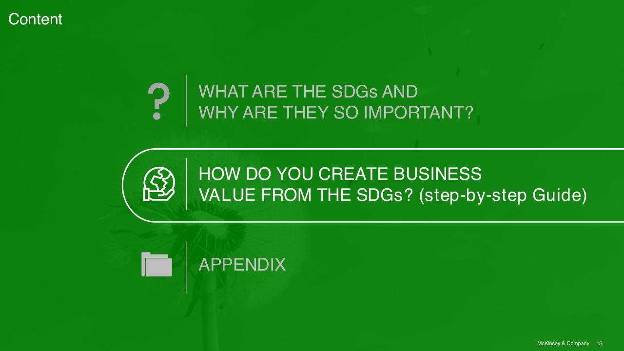 Agenda slide 15 from Sdg Guide For Business Leaders McKinsey