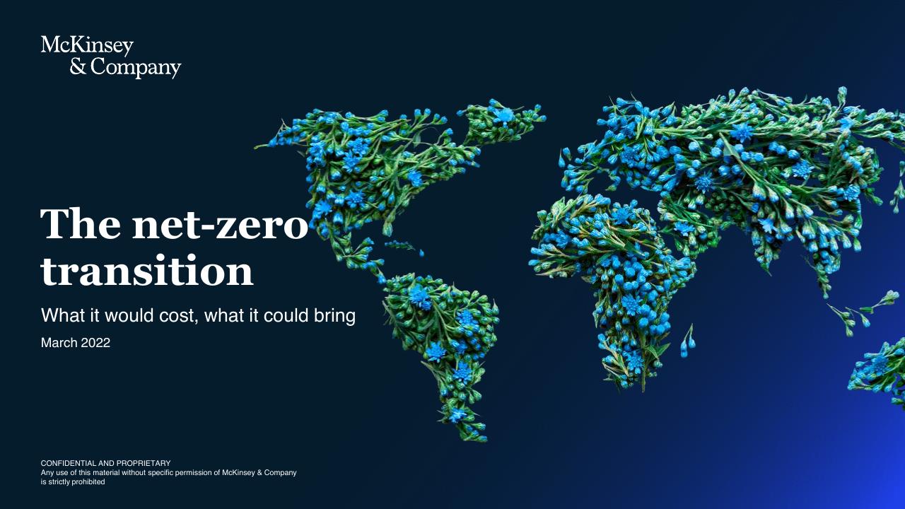The Net Zero Transition McKinsey consulting deck cover