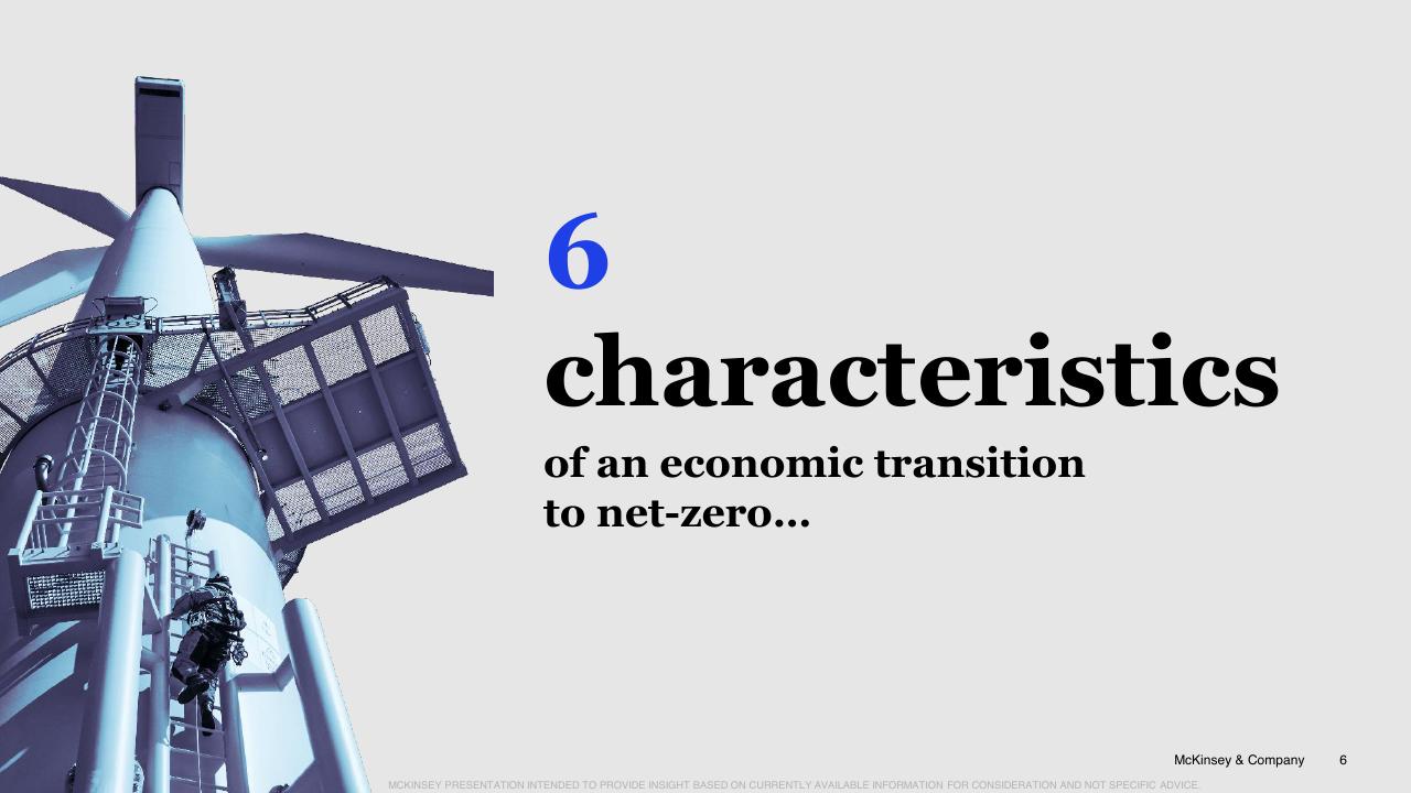 Section Divider slide 6 from The Net Zero Transition McKinsey