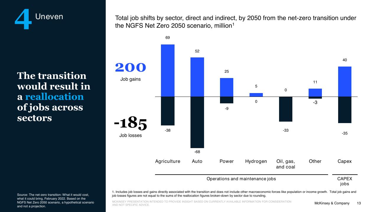 Chart slide 13 from The Net Zero Transition McKinsey