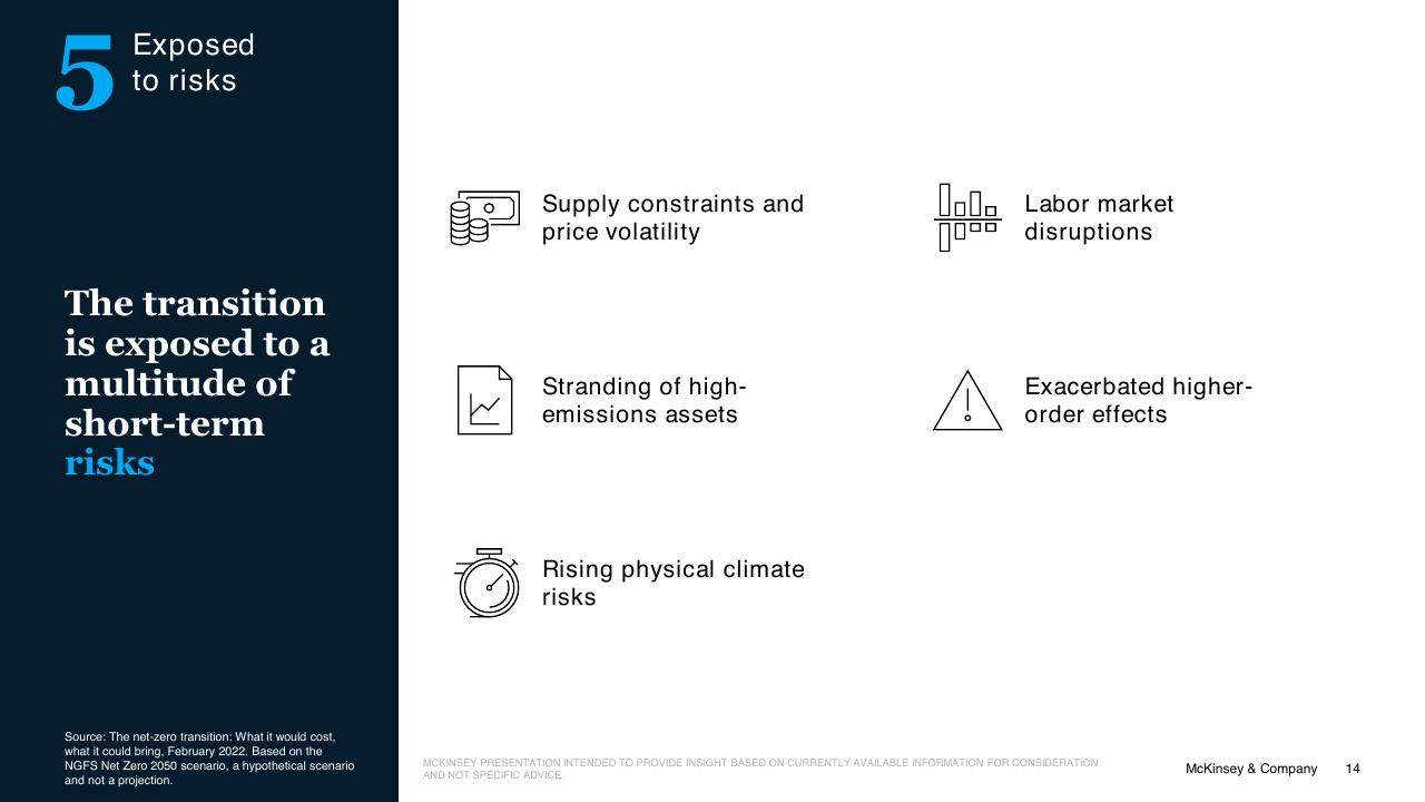 Text slide 14 from The Net Zero Transition McKinsey