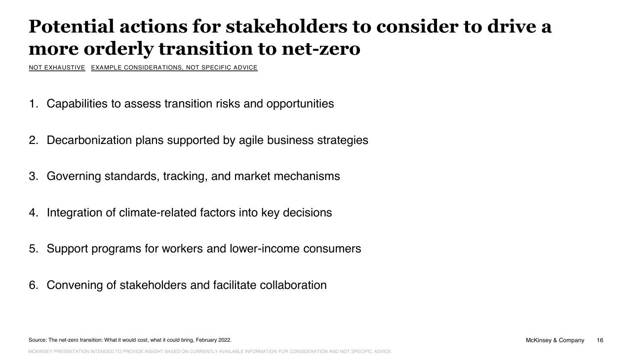 Process slide 16 from The Net Zero Transition McKinsey