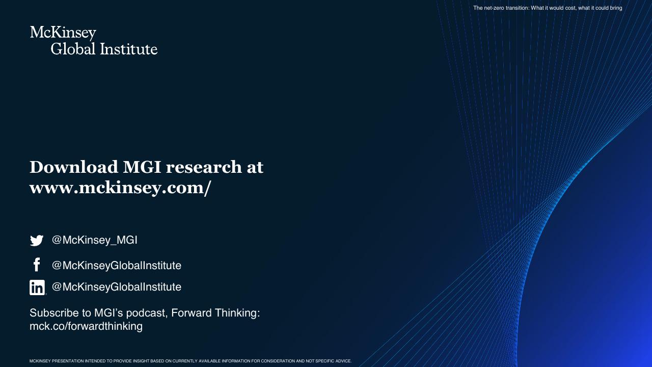 Cover slide 17 from The Net Zero Transition McKinsey