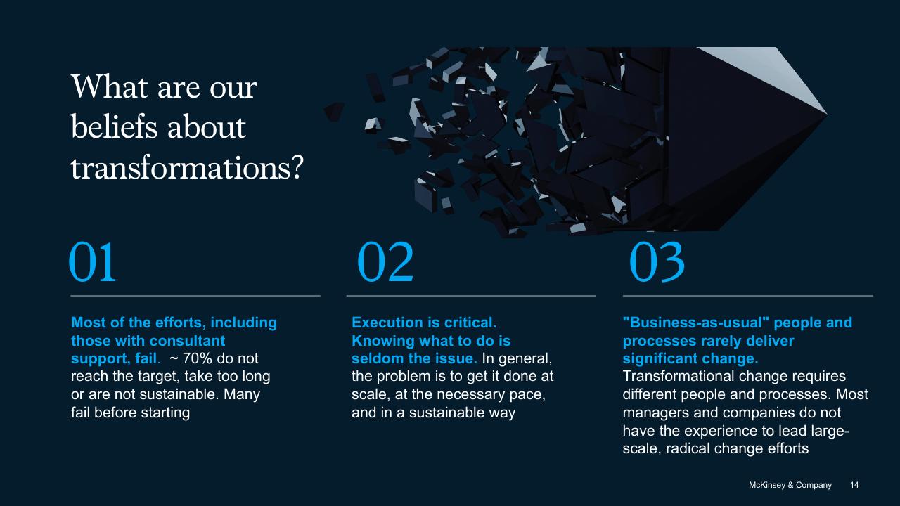 Text slide 14 from The Secret Of Transformations McKinsey