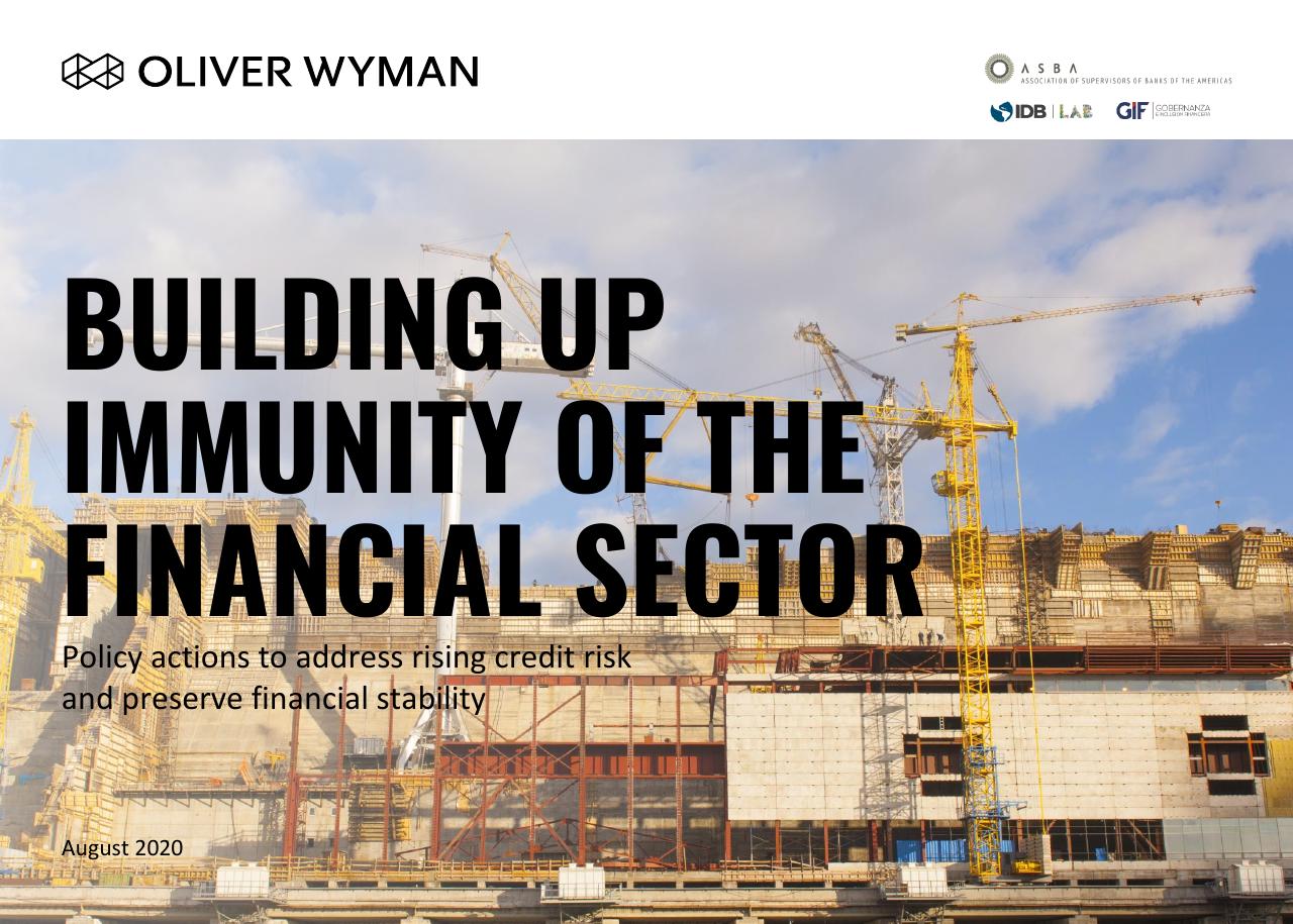 Building Up Immunity Of The Financial Sector consulting deck cover